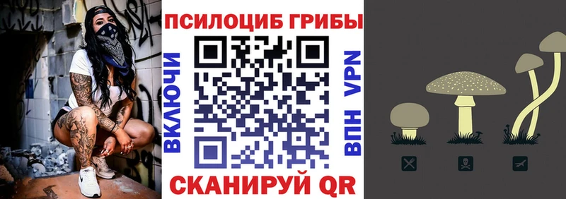 MEGA как зайти  Амурск  Галлюциногенные грибы мухоморы 