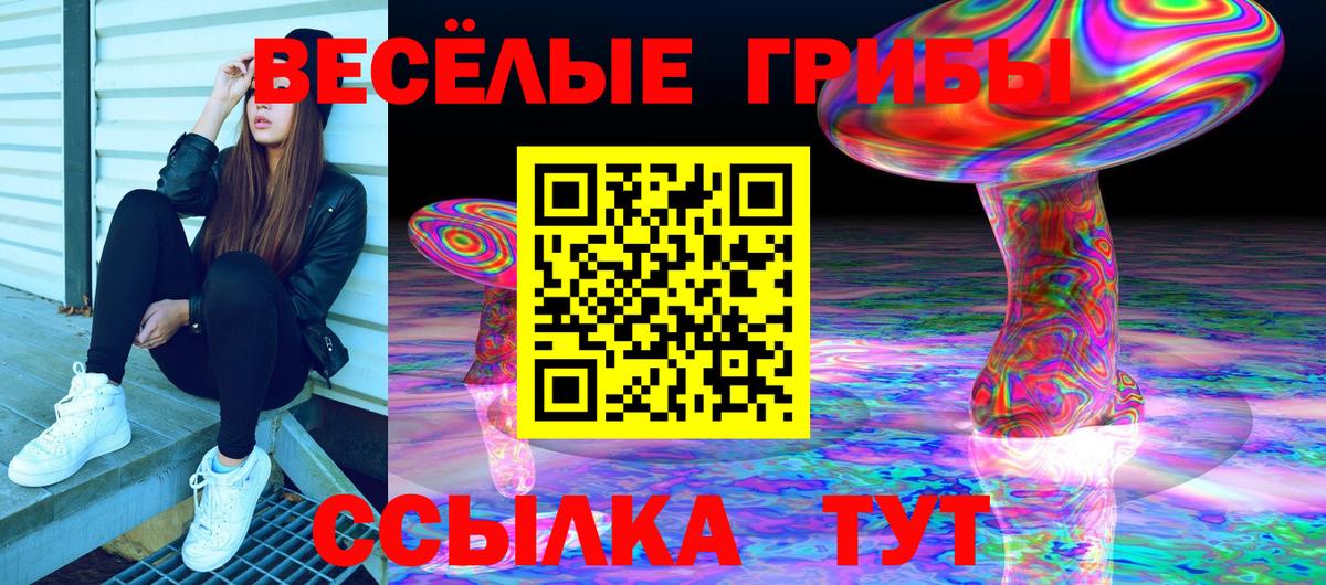 Галлюциногенные грибы MAGIC MUSHROOMS Амурск